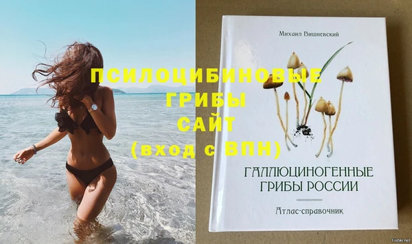 дмт Лиски