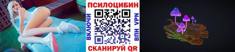 гидра зеркало  Красногорск  Псилоцибиновые грибы Psilocybe 