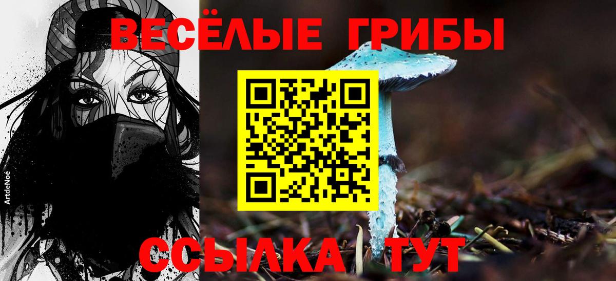 Псилоцибиновые грибы Magic Shrooms Красногорск