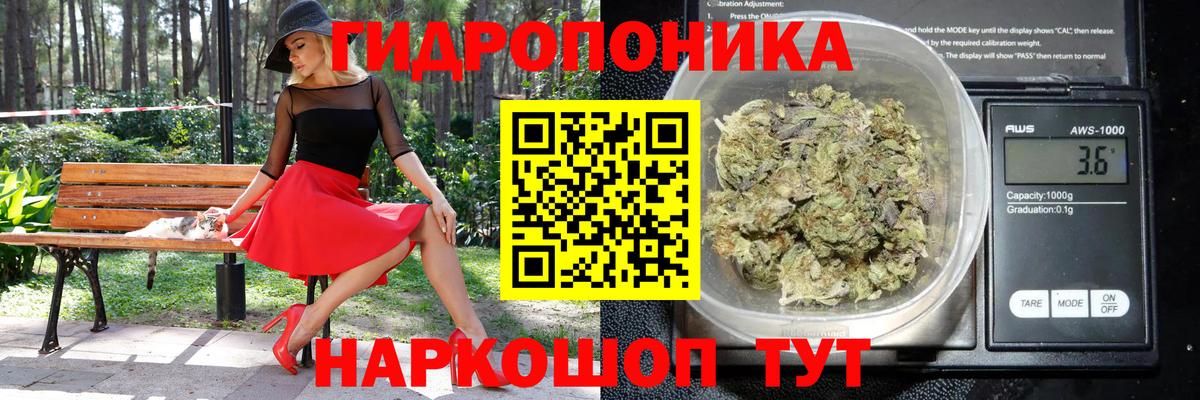 Каннабис Amnesia  Каннабис ГИДРОПОН  Красногорск  Вход с VPN  Шишки марихуана тримм 